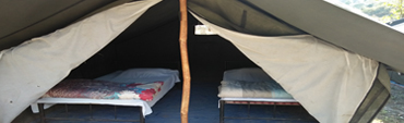 Deluxe Camp Tour North India