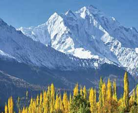 leh ladakh tour packages from delhi by road