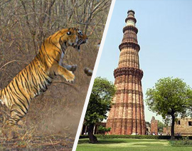 delhi agra ranthambore jaipur tour packages from bangalore