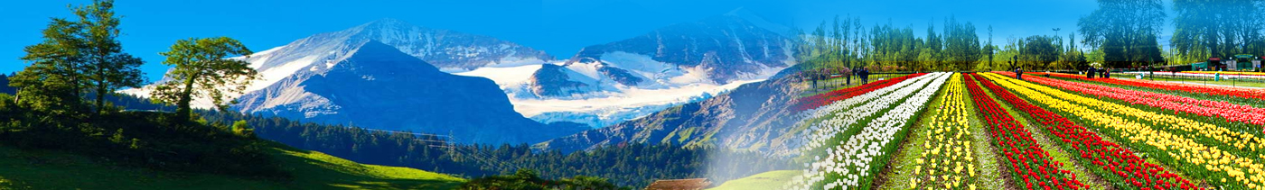 kashmir tour package from delhi with price