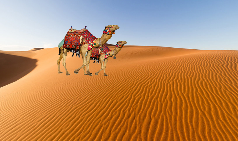 jaisalmer desert safari camp package