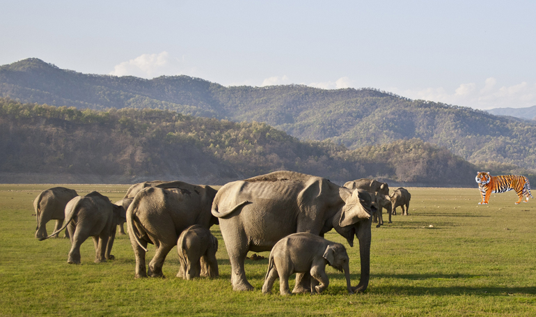 uttarakhand honeymoon packages from delhi