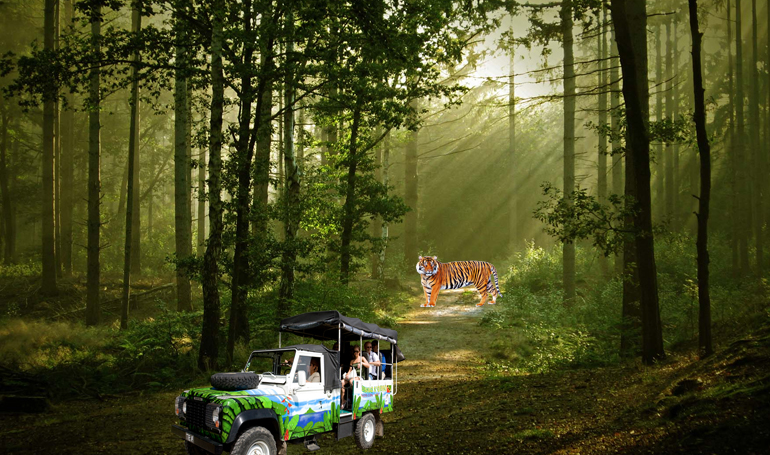 uttarakhand tour package for couple